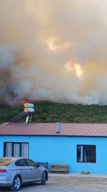 Bursa'da orman yangını! Alevler mahalle sınırına ulaştı... Kara yolu trafiğe kapatıldı! Camiden anons yapılıp vatandaşlar uyarıldı - Sayfa 4