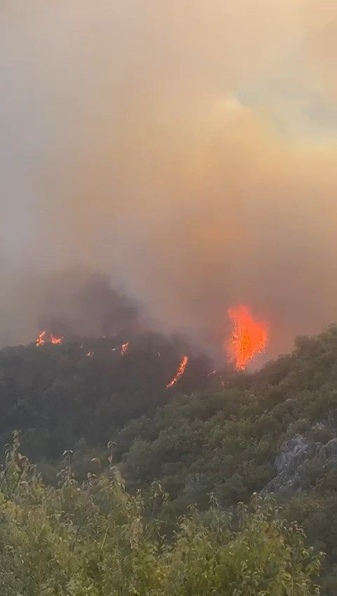 Bursa'da orman yangını! Alevler mahalle sınırına ulaştı... Kara yolu trafiğe kapatıldı! Camiden anons yapılıp vatandaşlar uyarıldı - Sayfa 1