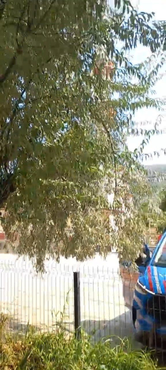 Bursa'da orman yangını! Alevler mahalle sınırına ulaştı... Kara yolu trafiğe kapatıldı! Camiden anons yapılıp vatandaşlar uyarıldı - Sayfa 3