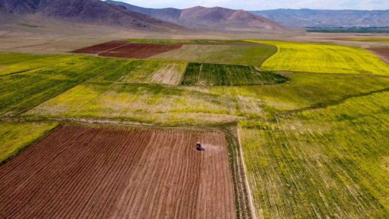 Tarım arazileri üretime açılıyor! 2 yıl ekilmeyen tarlalar kiraya verilecek - Sayfa 4