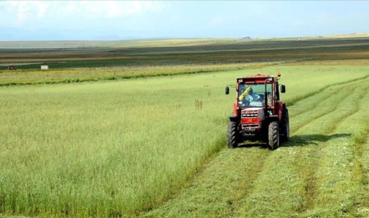 Tarım arazileri üretime açılıyor! 2 yıl ekilmeyen tarlalar kiraya verilecek - Sayfa 6