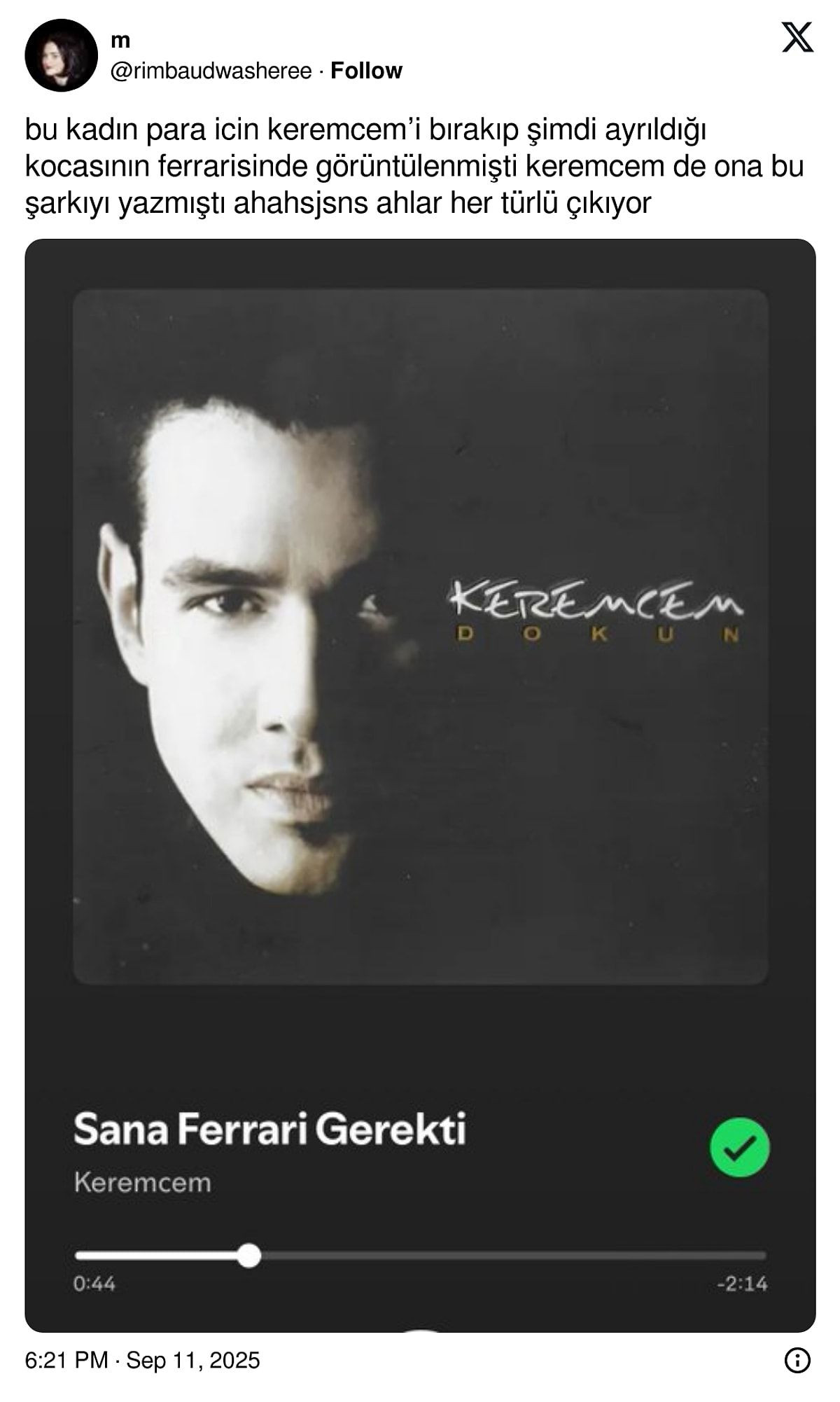 Yasemin Özilhan ile İzzet Özilhan'ın boşanma nedeni cimrilik mi? Olay iddia - Sayfa 8