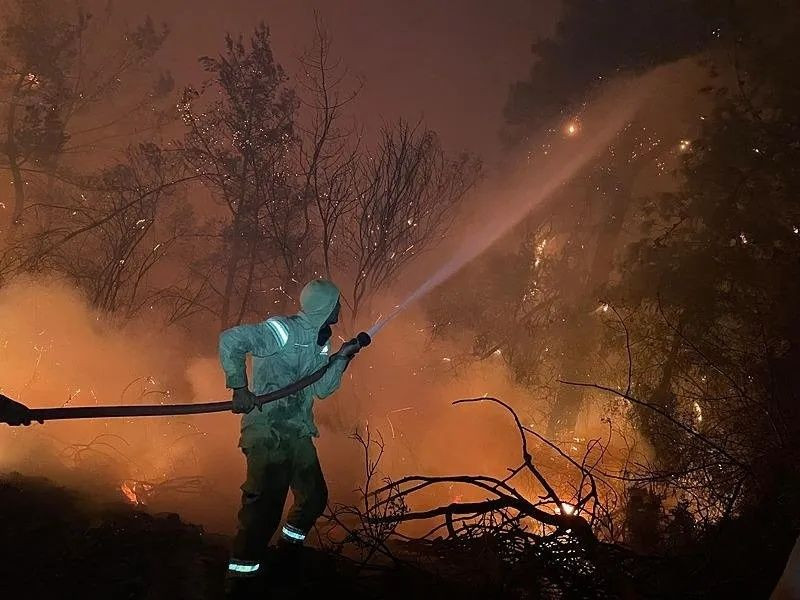 Alevler ev ve seralara sıçradı! Mahalleler boşaltıldı... Antalya, Aydın ve Muğla’da orman yangınları! Alevlere karşı canhıraş mücadele... - Sayfa 3