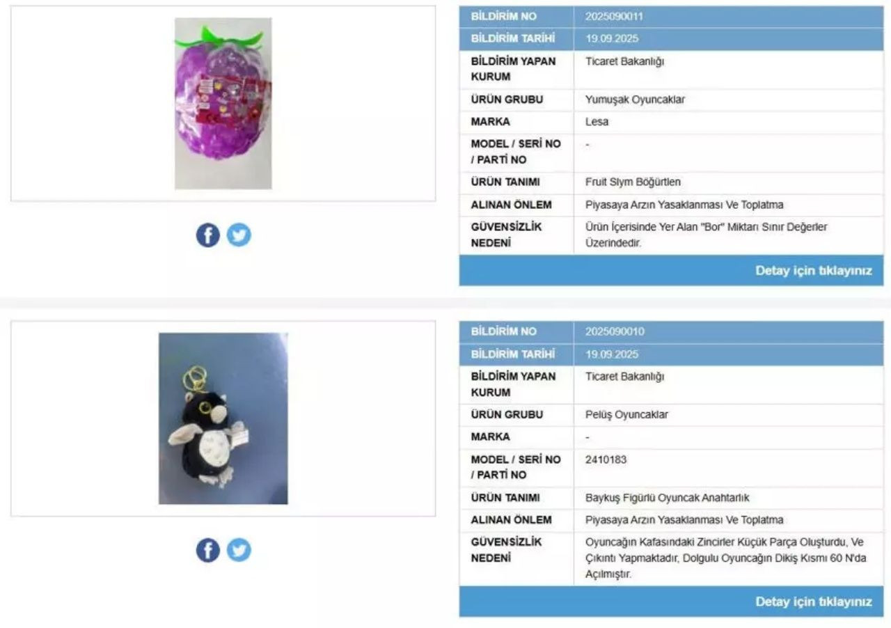 Anne babalar dikkat! Bakanlık 2 oyuncağın satışını yasakladı! Piyasadan toplanıyor - Sayfa 4