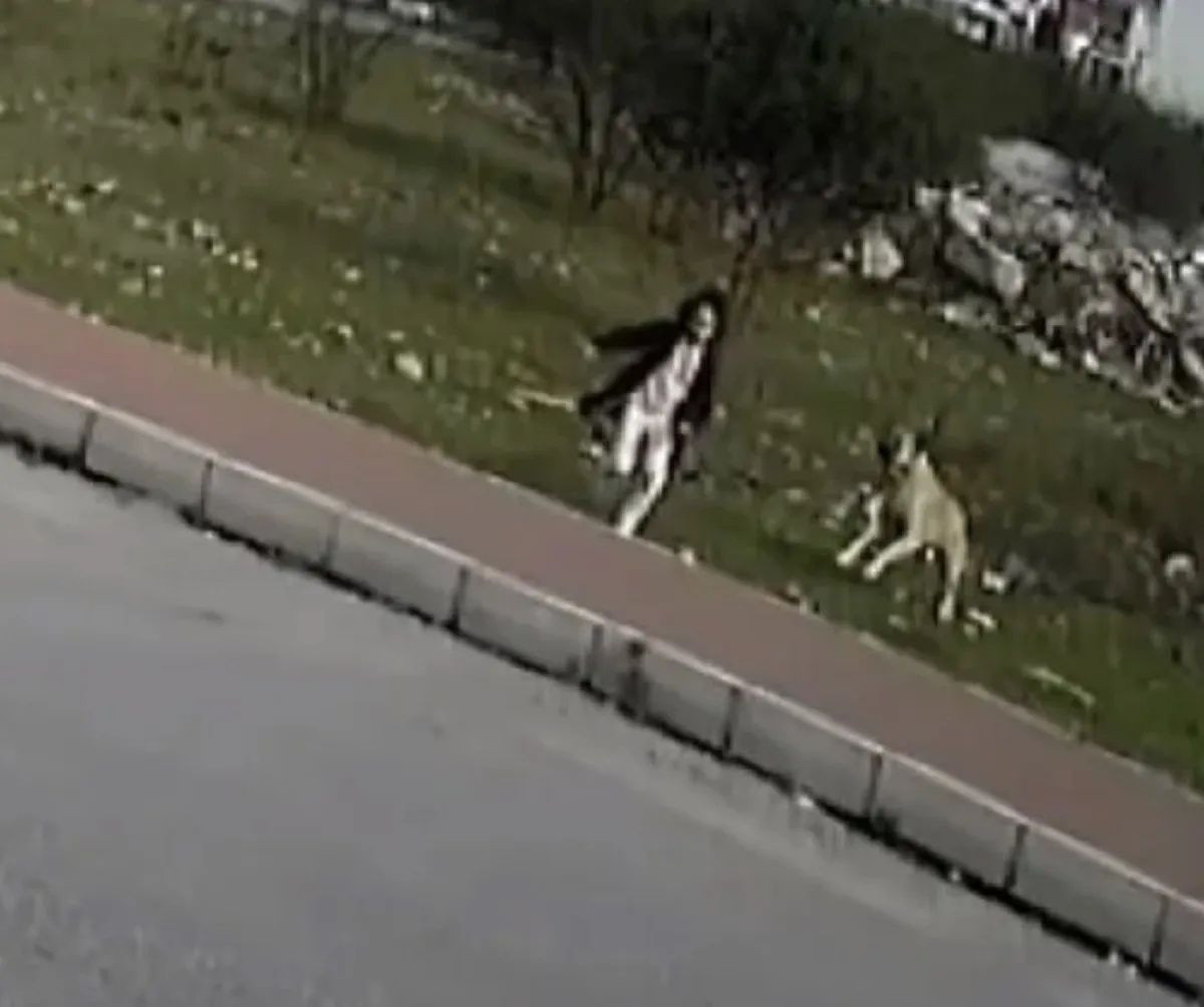 9 yaşında köpekten kaçarken ölmüştü... Mahra'nın mezarında büyük saygısızlık: Köpek maması bırakan alçaklar aranıyor! - Sayfa 4