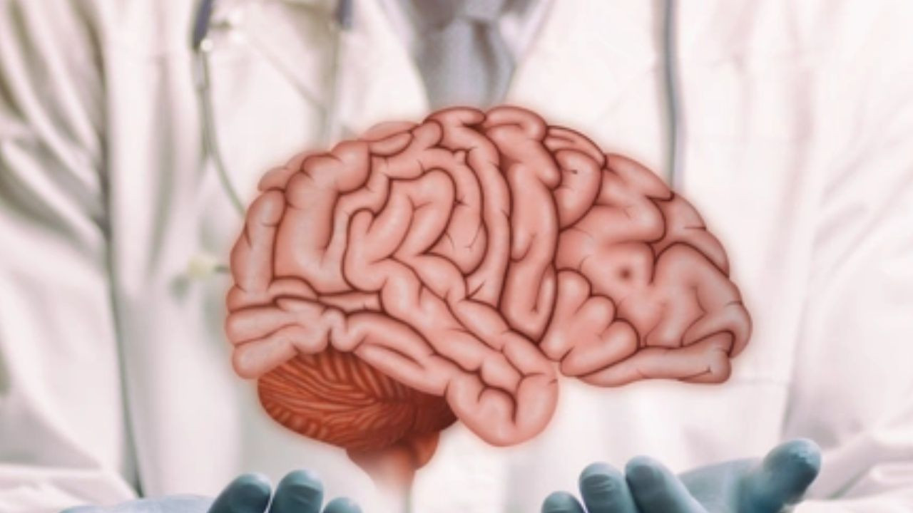 Beynin bilgisayar gibi çalışmasını sağlıyor; 1 çay kaşığı anında etki ediyor - Sayfa 2