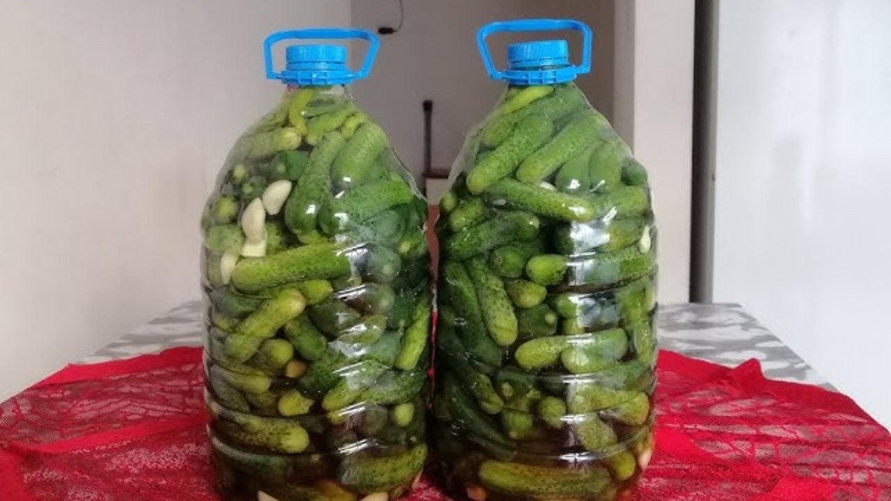 41 yıllık turşucu doğru oranı açıkladı... Yumuşamayan ve asla erimeyen sert turşu için 3-4 adet ekleyin - Sayfa 23