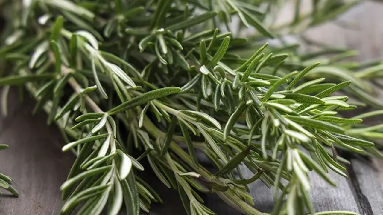 Beynin bilgisayar gibi çalışmasını sağlıyor; 1 çay kaşığı anında etki ediyor - Sayfa 5