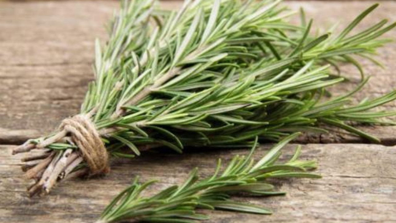 Beynin bilgisayar gibi çalışmasını sağlıyor; 1 çay kaşığı anında etki ediyor - Sayfa 4