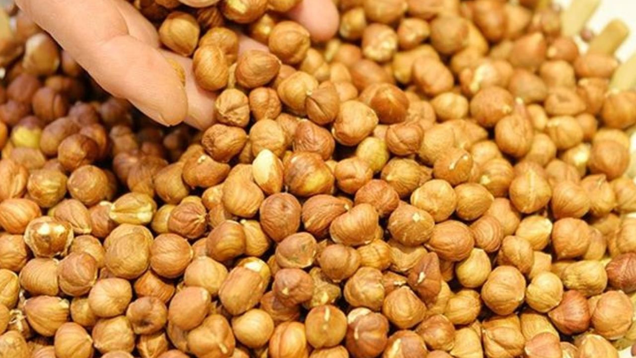 Fındığı don vurdu, üretici mucize ürüne yöneldi; Bahçesine eken paraya para demiyor - Sayfa 8