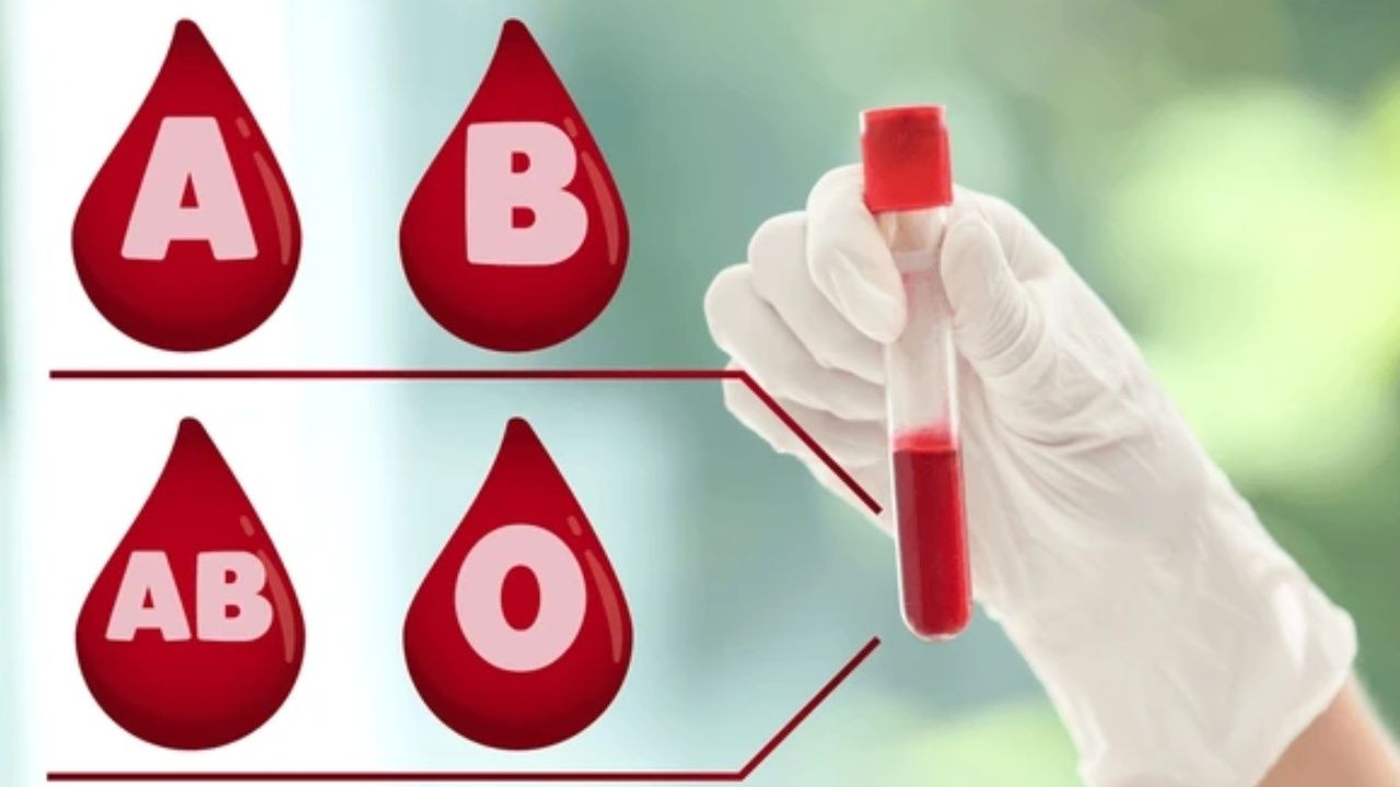 En zeki insanların çıktığı kan grubu; Türkiye’de çoğunluk bu kan grubunda yer alıyor. - Sayfa 1