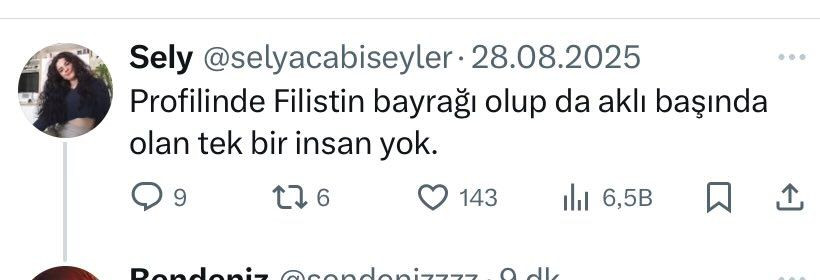 Kim bu Selya? Türkçe öğretmeni kılığında bir siyonist! X’te “selyacabiseyler” hesabından İsrail yanlısı paylaşımlar büyük tepki çekti... - Sayfa 3