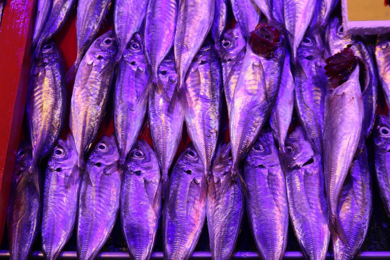 Bozuk dedi dehşeti yaşadı! Eskişehir'de iade isteyen vatandaşı balıkla dövdüler! - Sayfa 5