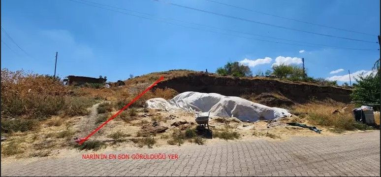 “Vicdanen taşıyamam” dedi, “Narin’i Nevzat öldürdü” ses kaydı ortalığı karıştırdı! Avukat davadan çekildi - Sayfa 3