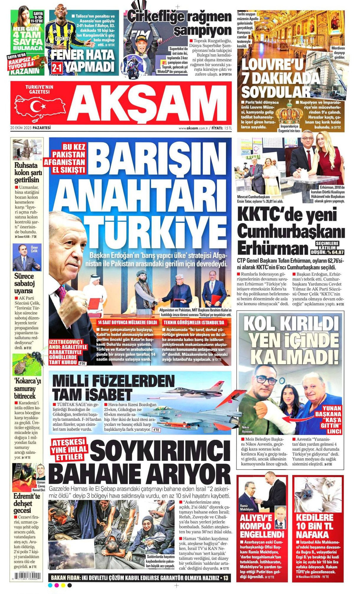 Türkiye'nin nadir gücü! NTE'lerde milyarlarca dolarlık potansiyel... - Sayfa 12