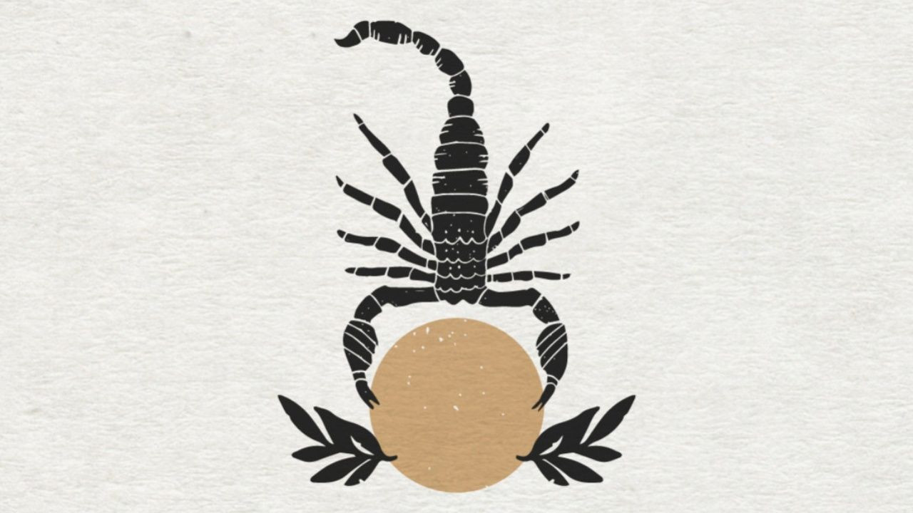 Kasım ayında para kazanacak burçlar! Zodyak Kuşağı’nda 6 burç öne çıkıyor - Sayfa 8