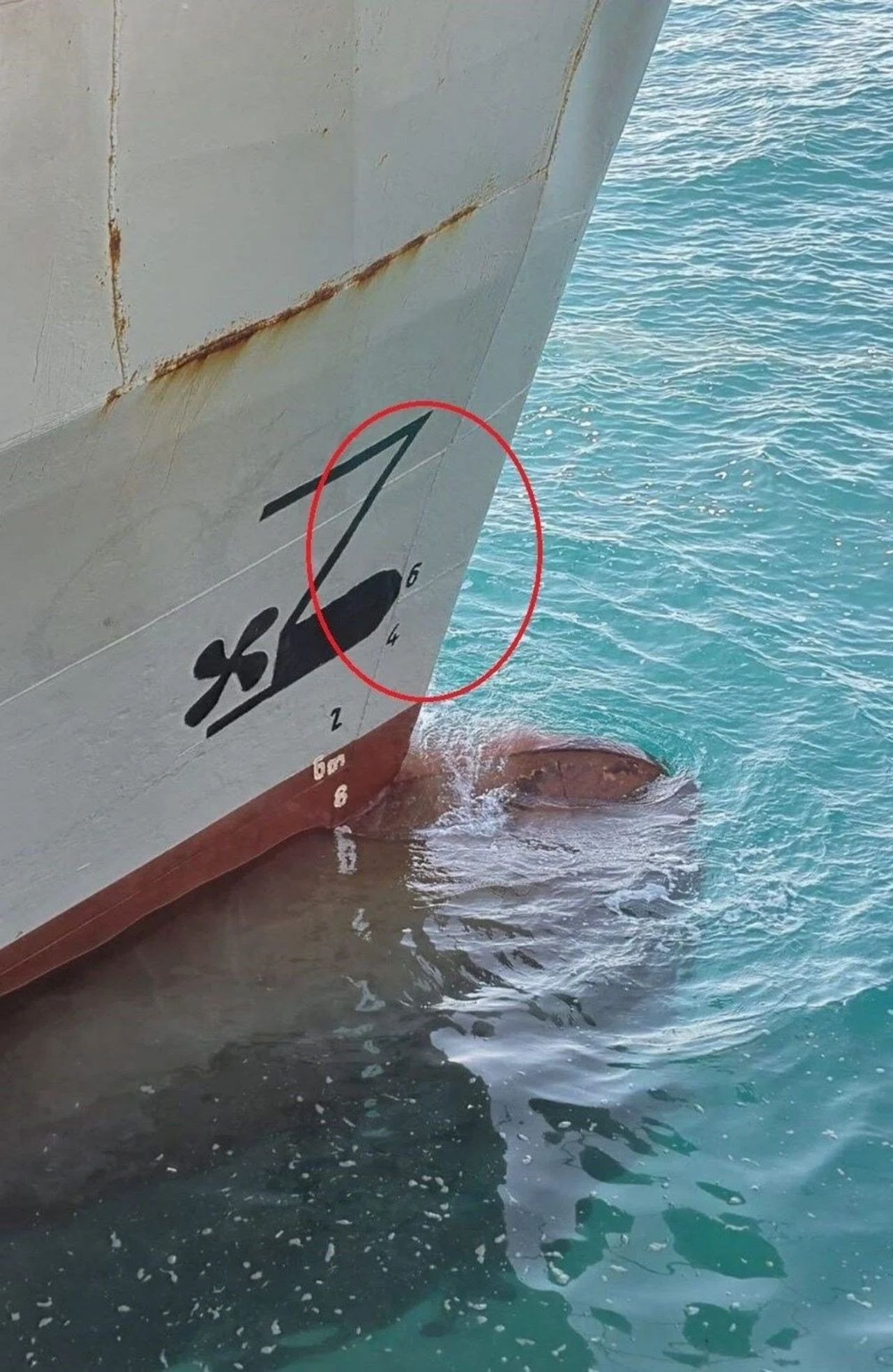 Halit Yukay'ın trajik ölümü! Gemi kaptanı için istenilen ceza belli oldu - Sayfa 1