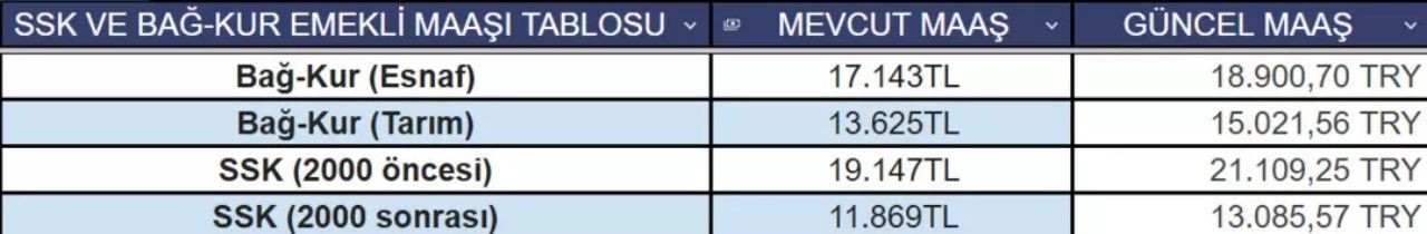Memur ve emekli ocak zammı netleşiyor! İşte yeni maaş listesi - Sayfa 8