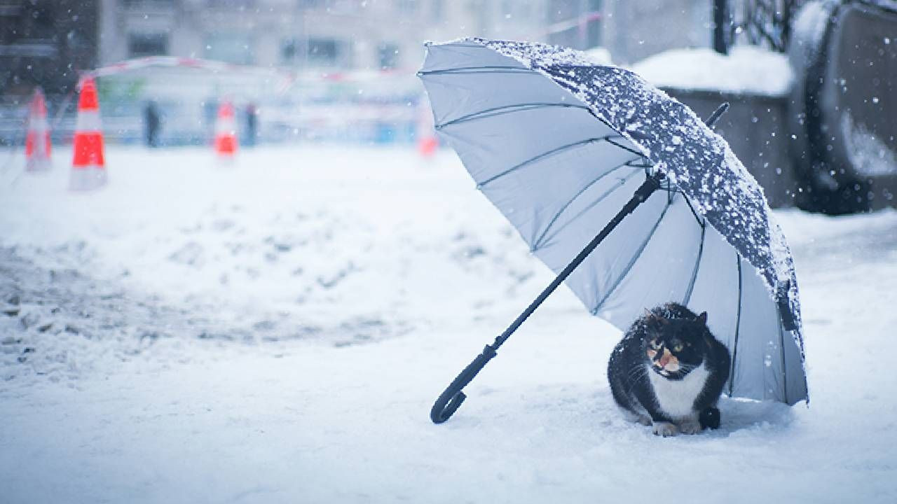 2016’dan bu yana böylesi görülmedi! Bu kışı asla unutamayacağız: Yoğun kar yağışı için tarih verildi - Sayfa 6