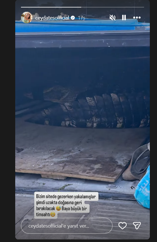 Adını Feriha Koydum'un Hande'siydi! ABD'ye yerleşen oyuncu Ceyda Ateş'in oturduğu sitede timsah yakalandı - Sayfa 3