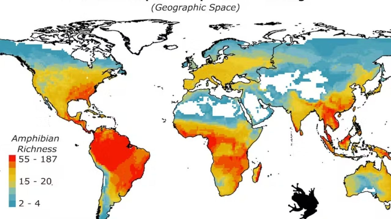 En güzel iklime sahip 30 ülke açıklandı! 4 mevsimle övünen Türkiye’nin sıralaması şaşırttı - Sayfa 2