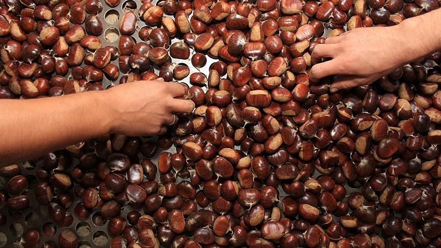 Kestane kabuğunun kalıp gibi çıkmasını sağlıyor; Taksimli seyyar satıcıların uyguladığı teknik - Sayfa 5