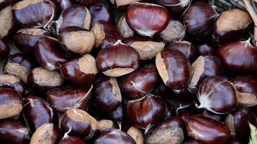 Kestane kabuğunun kalıp gibi çıkmasını sağlıyor; Taksimli seyyar satıcıların uyguladığı teknik - Sayfa 4