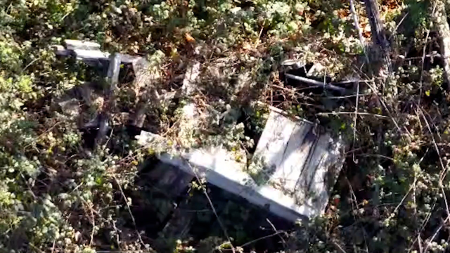 Kastamonu'da ölü olarak bulunan anne Huriye Helvacı neden çırılçıplaktı? Bozkurt’taki gizemli ölümde yeni detaylar... - Sayfa 6