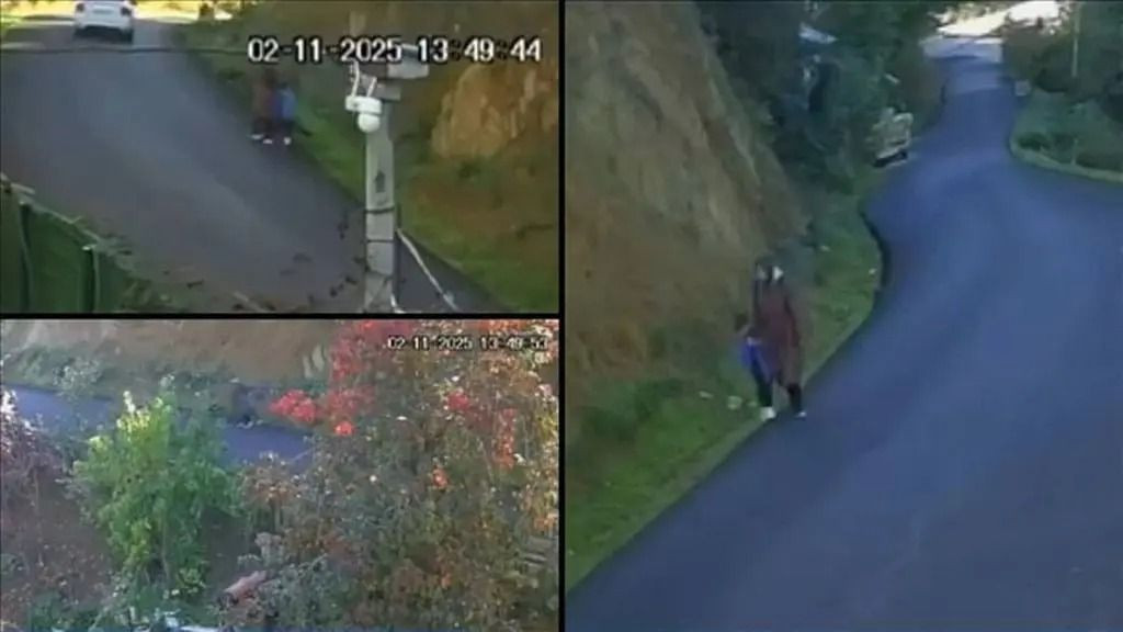 Anne ve oğlunun sır ölümü! Bozkurt'taki korkunç cinayette yeni gelişme! Enişte hakkında karar! - Sayfa 2