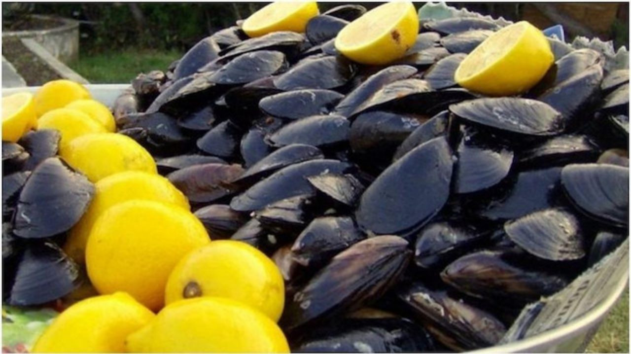 Bir ailenin yok olmasına neden oldu! Ortaköy faciasından sonra uzmanlardan uyarı! Dışarıda bu yiyecekleri sakın tüketmeyin - Sayfa 2