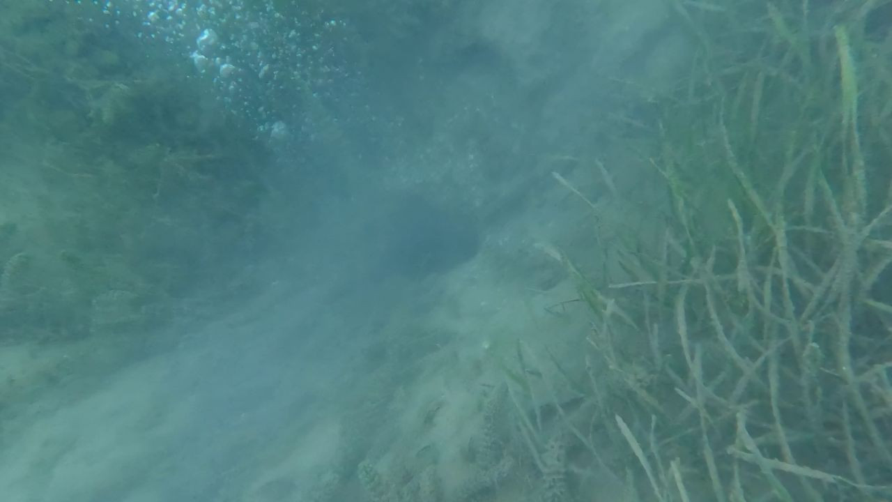 Korkutan manzara! Sapanca'daki kabarcıklar depremin habercisi mi? - Sayfa 1