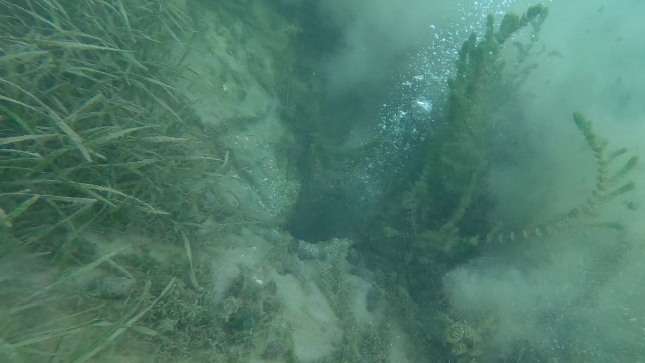 Korkutan manzara! Sapanca'daki kabarcıklar depremin habercisi mi? - Sayfa 3