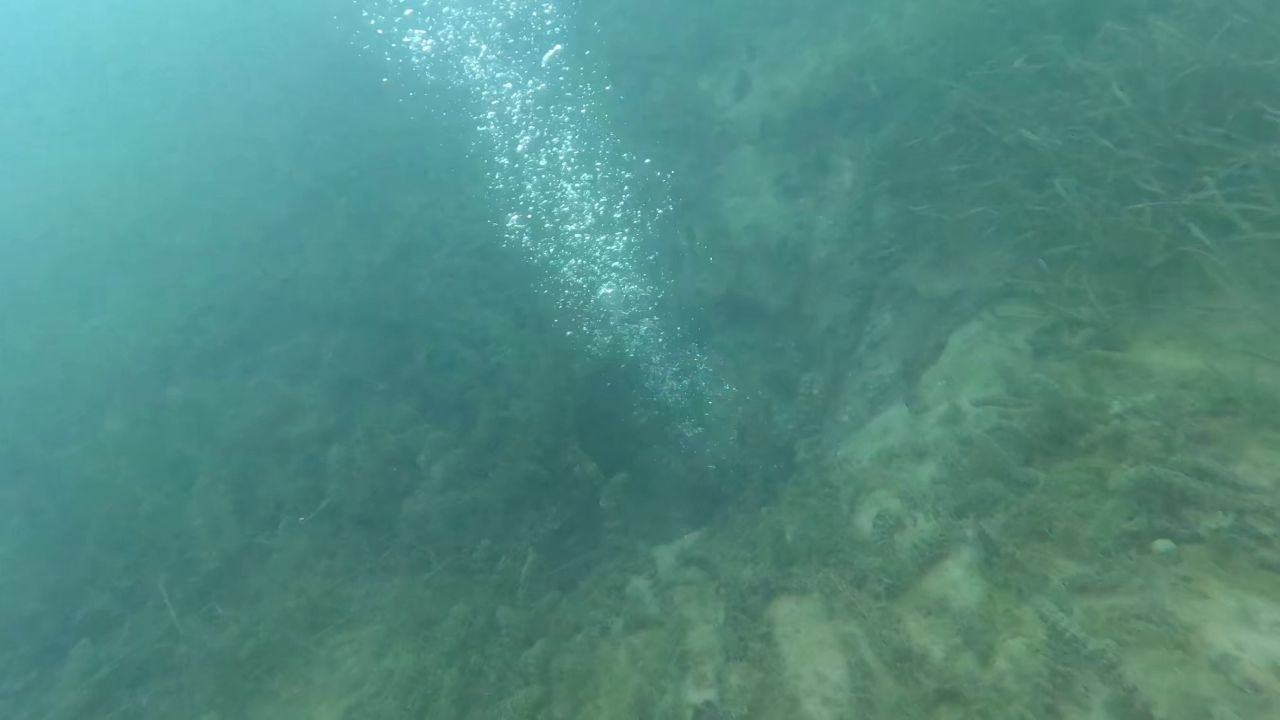 Korkutan manzara! Sapanca'daki kabarcıklar depremin habercisi mi? - Sayfa 4