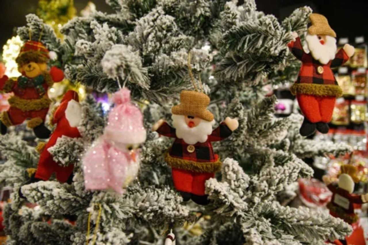 Yılbaşı ağacı maliyeti cep yakıyor! 20 bin TL çıktı - Sayfa 5