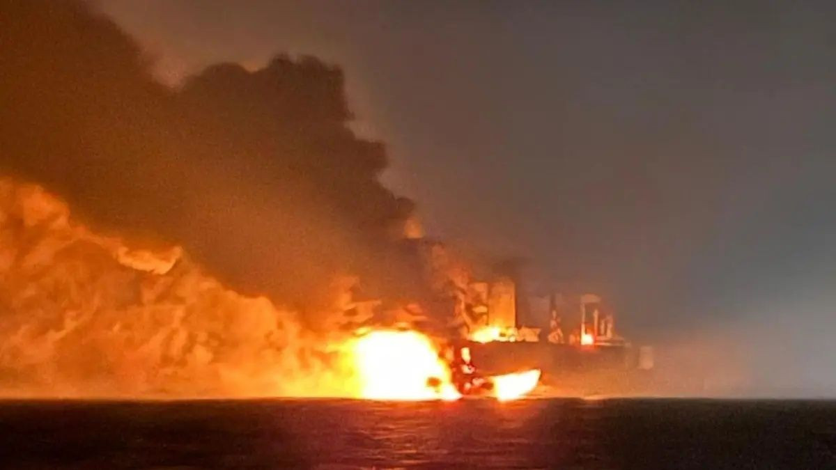 Karadeniz'de neler oluyor? 4 günde 3. gemi saldırısı! Ayçiçek yüklü geminin vurulması tarımsal ticarete yönelik bir uyarı mı? Zamanlamada dikkat çeken Trump detayı... - Sayfa 3