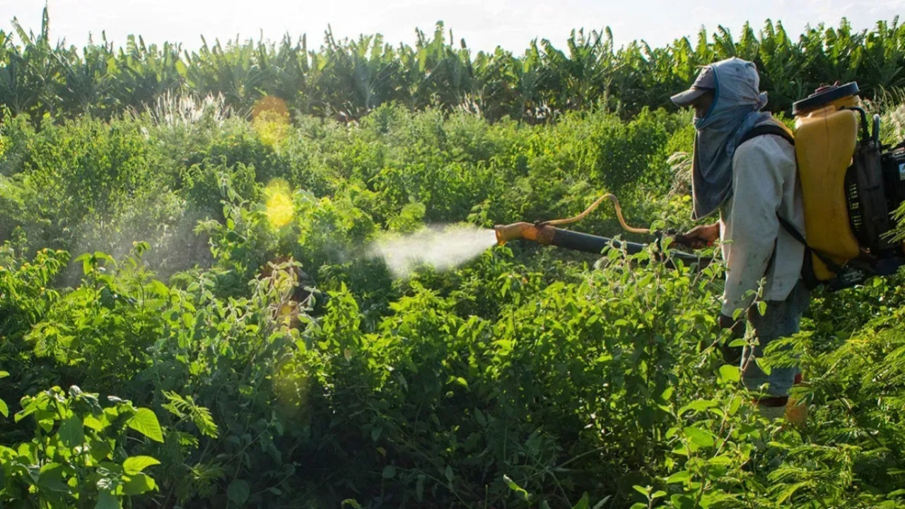 Bir ailenin ölümüne neden olmuştu! O ilaçlarlarda reçeteli dönem başladı! İnternet satışı ve reklamı yasaklandı