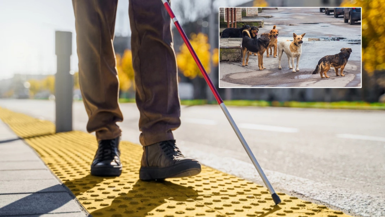 Sancaktepe Belediyesi'nde skandal iddia: Görme engelli vatandaşın köpek talebine şok cevap! 