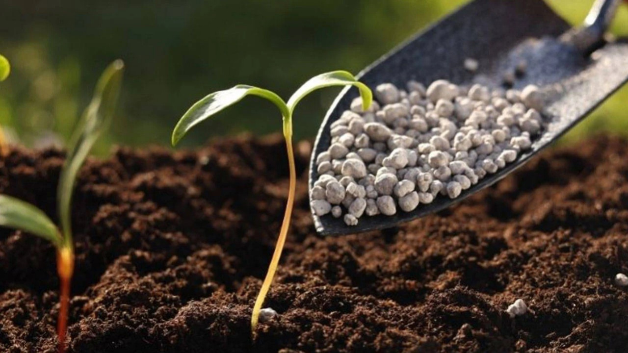 Savaş fiyatları vururken Türkiye’den kritik gübre hamlesi: Gümrük vergisi o ürünlerde de sıfırlandı