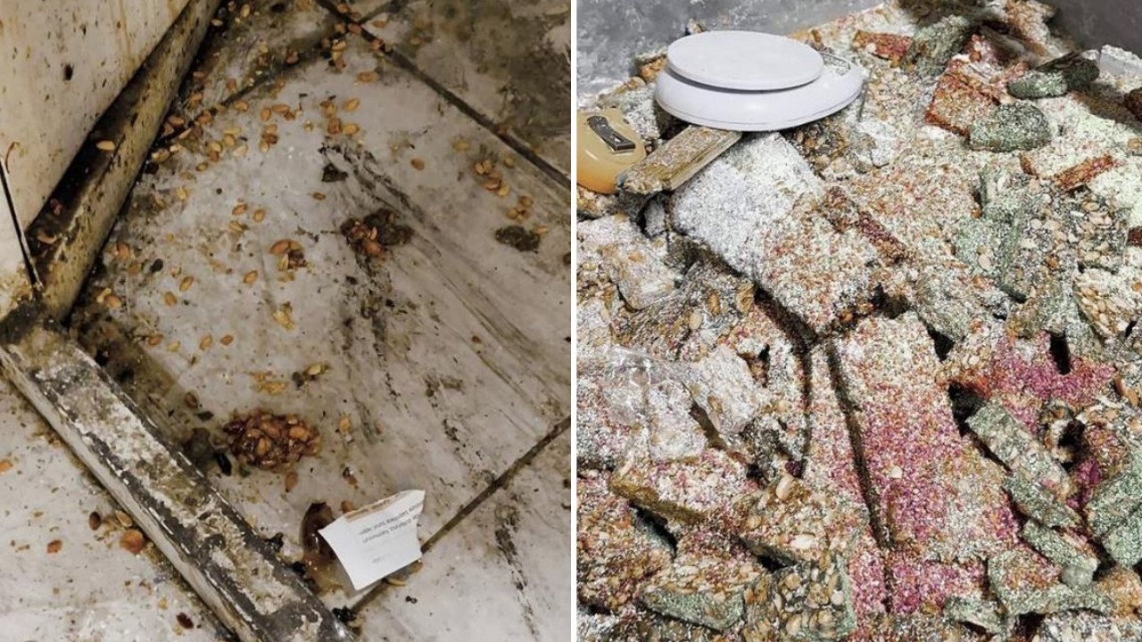 Kötü koku büyük skandalı ele verdi! Eve giren zabıta gördüklerine şoke oldu: Pislik içinde üretip vatandaşa yedirmişler!