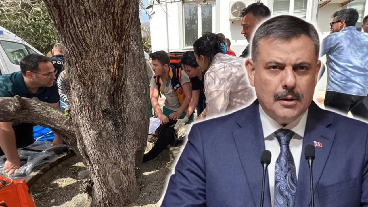 Okullarda 'sessiz tehlike' dönemine son! 7 basamaklı yeni güvenlik modeli geliyor... Risk altındaki çocuklara siber takip!