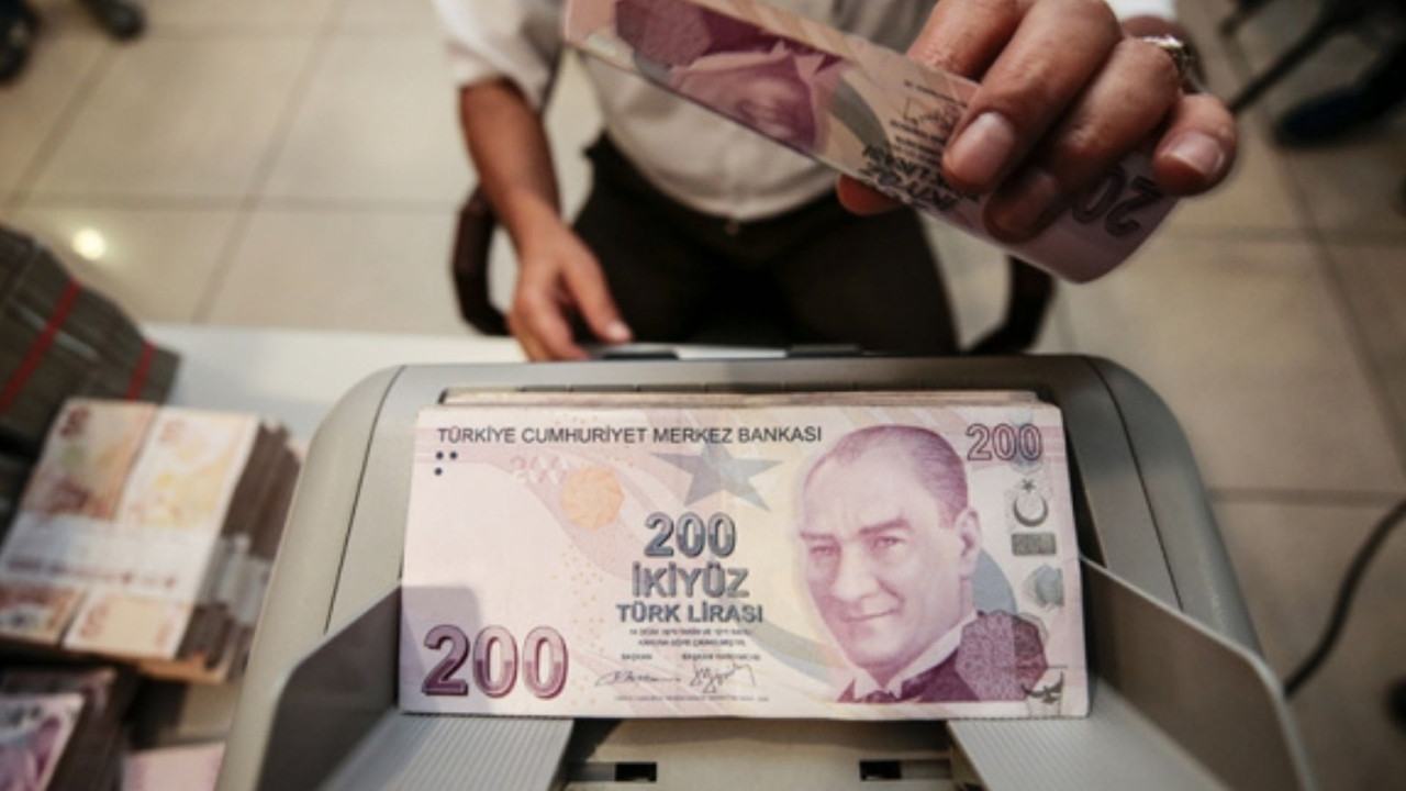Dış borçlarda ilk sırada alınan kediler yer aldı!
