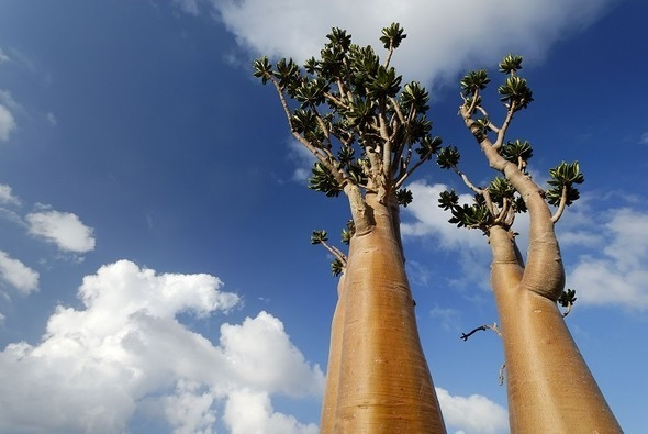 Çok şaşıracaksınız: Yıllarca Osmanlı toprağı olan 'Uzaylı Ada' - Sayfa 10