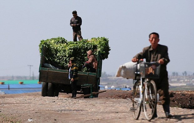 Dünyanın en gizemli ülkesinden en yeni kareler - Sayfa 18