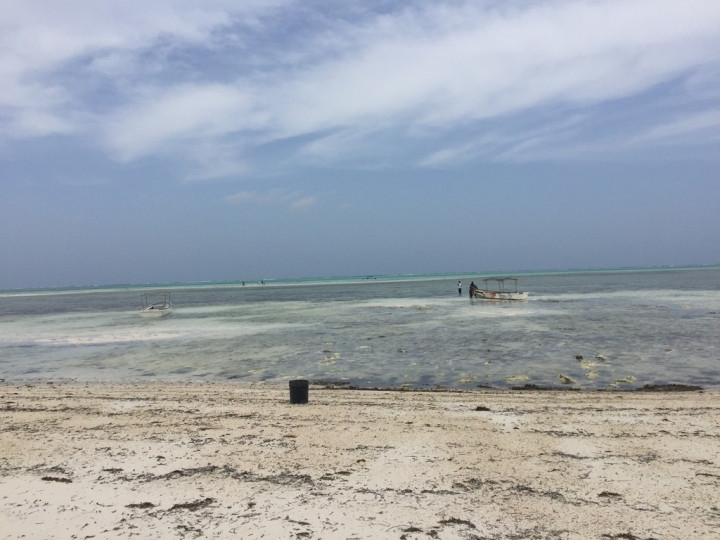 Burası ne ev, ne de ada! Herkes buraya akın ediyor... - Sayfa 34