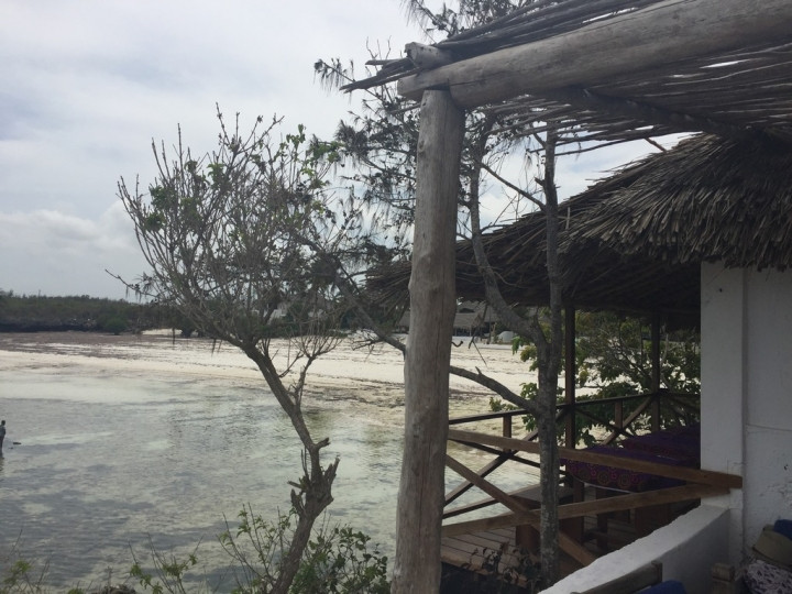 Burası ne ev, ne de ada! Herkes buraya akın ediyor... - Sayfa 26