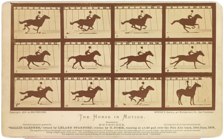 Time yüzyılın fotoğraflarını seçti! Türkiye de listede... - Sayfa 16