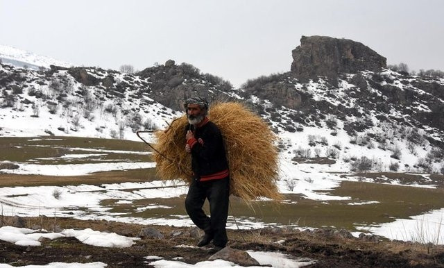 22 yıl önce boşaltılan köyde tek başına yaşıyor - Sayfa 13