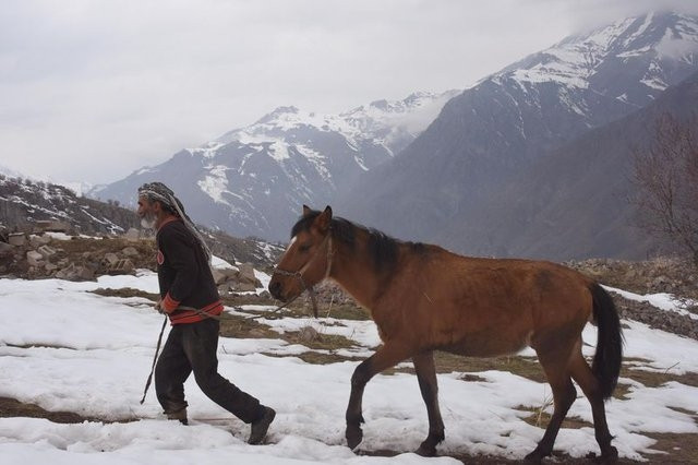 22 yıl önce boşaltılan köyde tek başına yaşıyor - Sayfa 7
