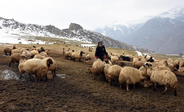 22 yıl önce boşaltılan köyde tek başına yaşıyor - Sayfa 9