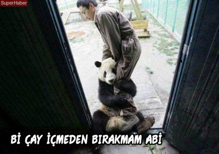 İnsanlarla yaşamaya alışan vahşi hayvanlardan ilginç kareler! - Sayfa 10